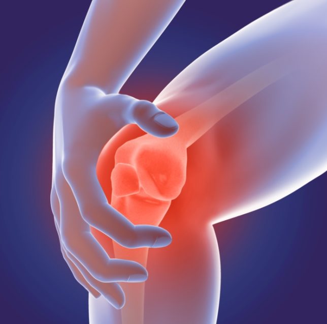 knee
